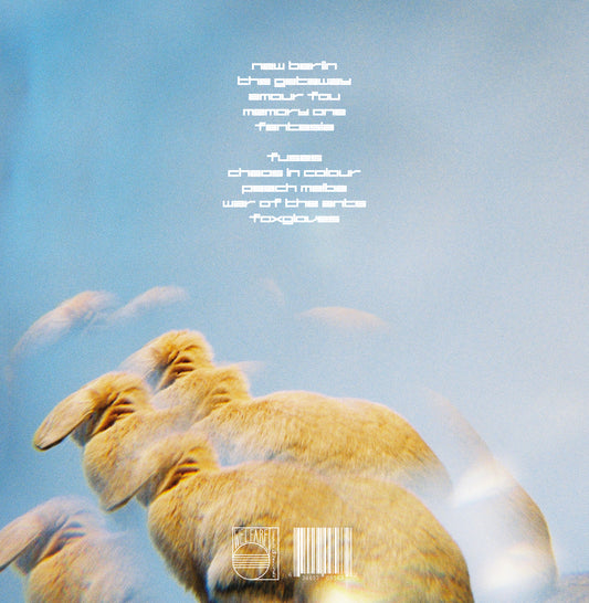 Beverly Kills - Kaleido 12" LP