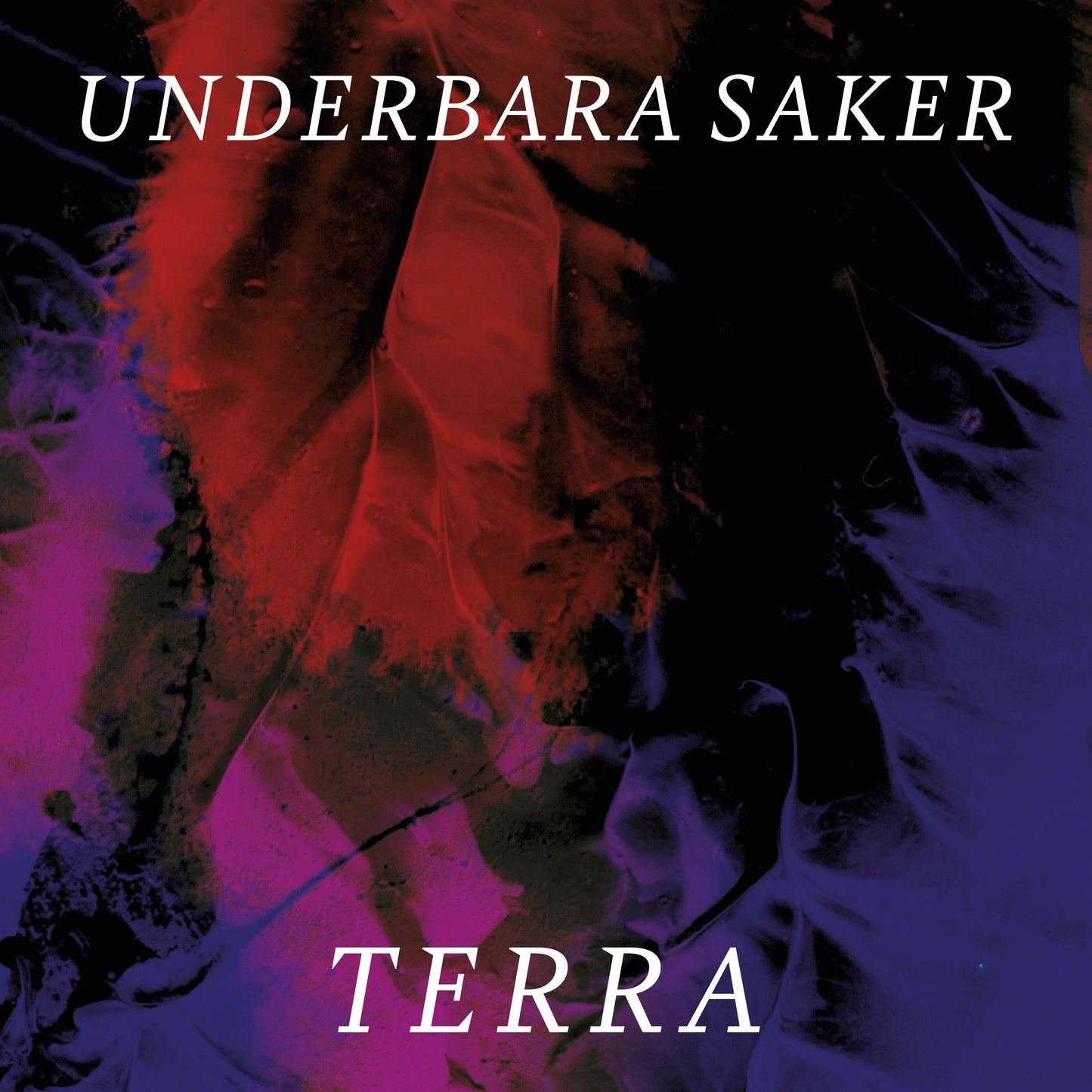 Terra - Underbara saker CD