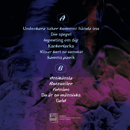 Terra - Underbara Saker 12" LP